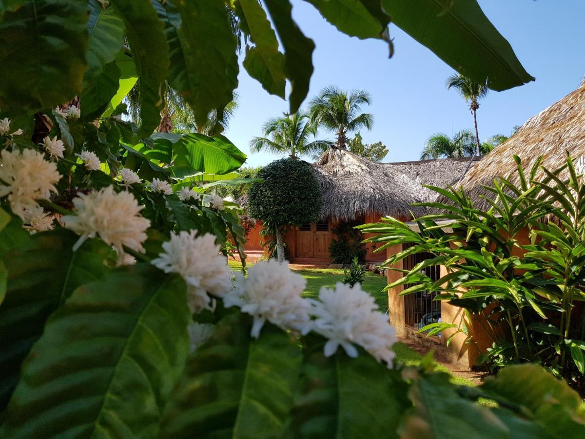 Solazul Bed & Breakfast Las Galeras Exterior photo